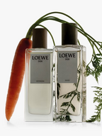 LOEWE Limited-edition Discovery Set 4x15ML Green
