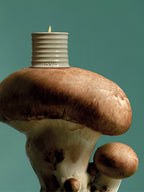 Loewe candle placed on a large mushroom, artistic composition with natural textures and green background
