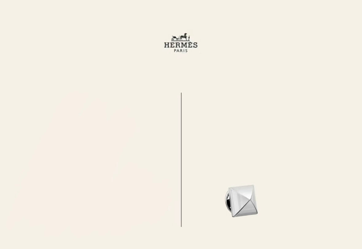 Hermes Ultra Rare Brooch