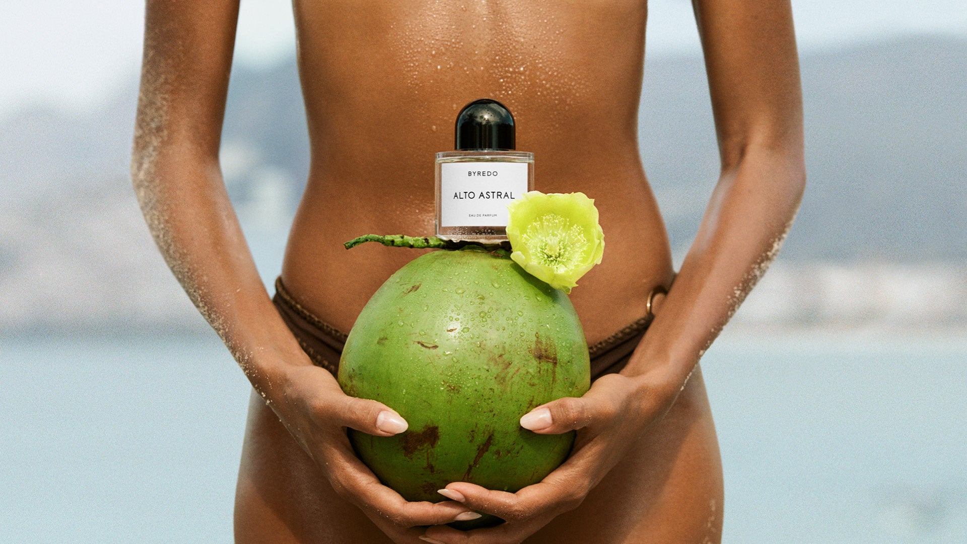Person holding a coconut with a flower and a bottle labeled 'Alto Astral' against a blurred natural background.