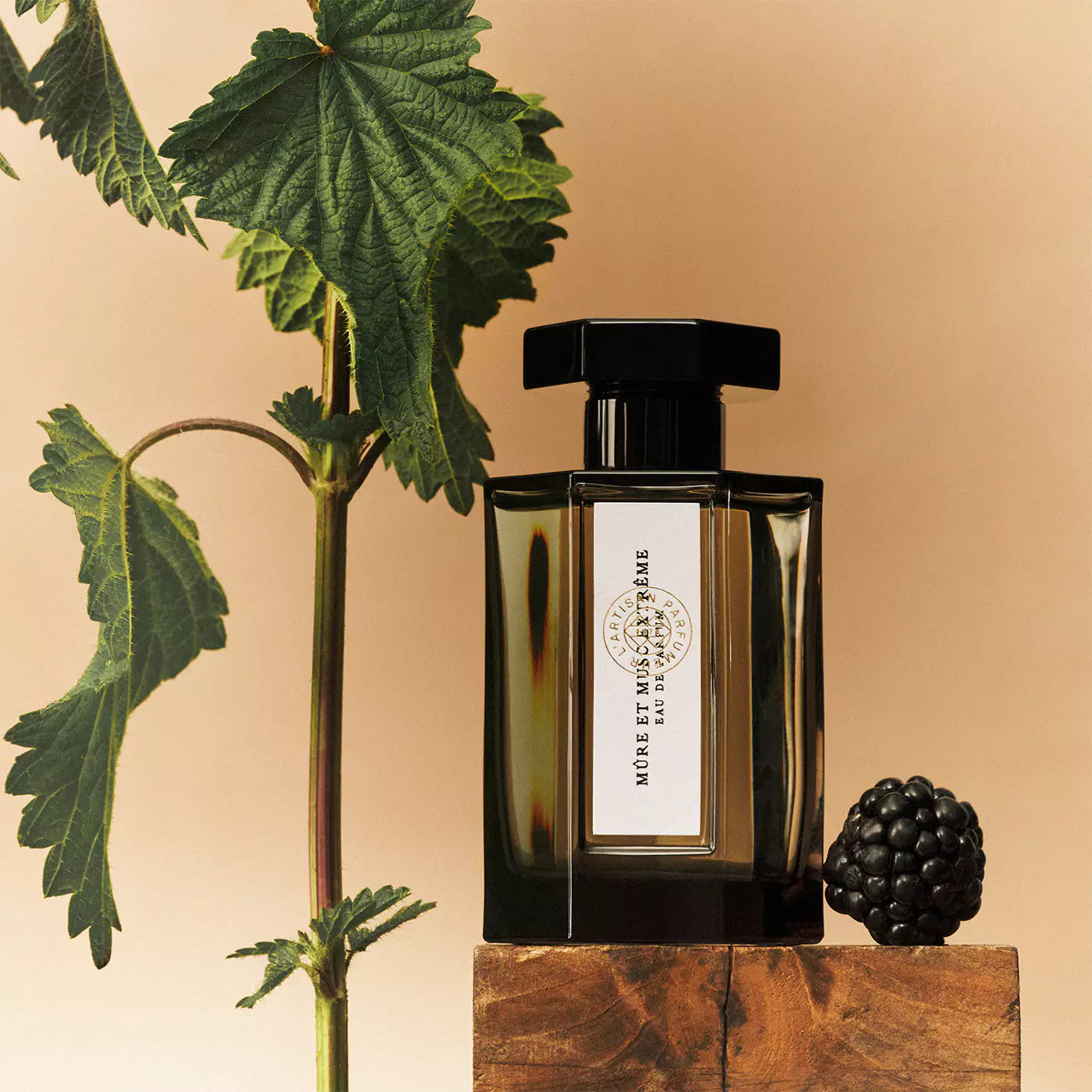 L'Artisan Parfumeur Histoire D'Orangers ხელის კრემი 50 მლ /Mûre et Musc – Eau de Toilette 5მლ  და ტანის ბარი