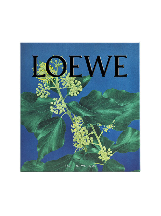 LOEWE სუროს საკმევლის ნაკრები