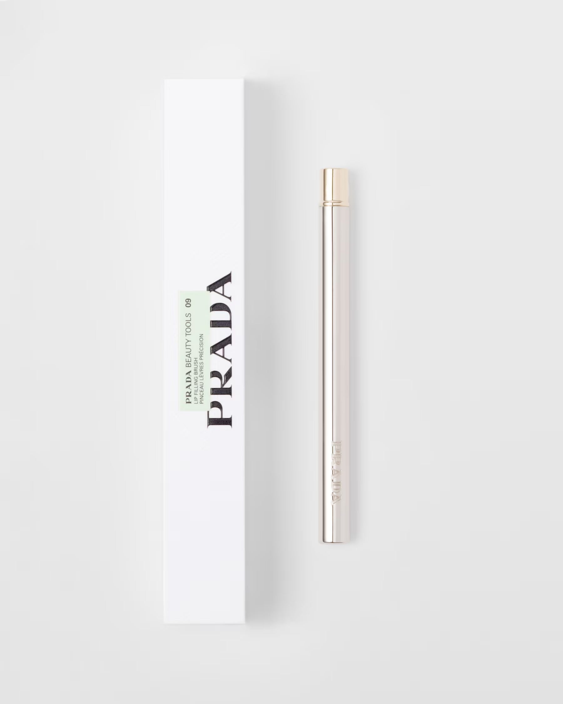 09 Lip Filling Brush with box and white backround