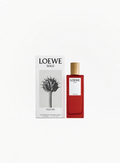 LOEWE Solo Vulcan Eau de Parfum 50ml bottle with a natural wooden cap displayed beside its retail box on a white background.