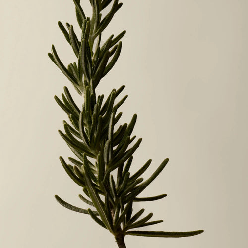 Aesop Hand Balm Trio Helping Hands 30ML