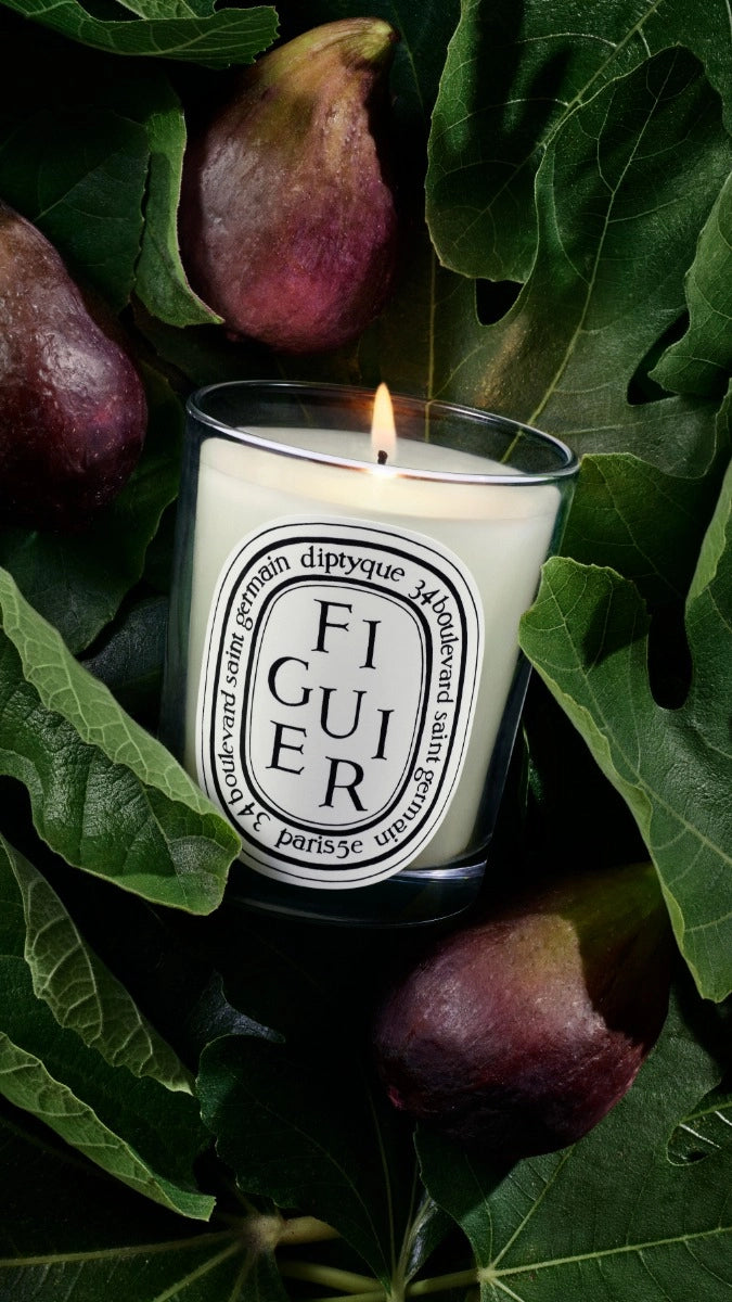 Diptyque Figuier Candle 70G & Matches Gift Set