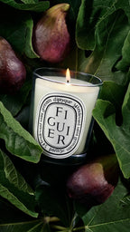 DIPTYQUE Figuier სანთელი 70გ & ასანთი — სასაჩუქრე სეტი