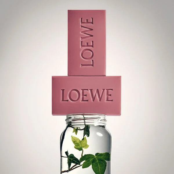 Loewe-ს ხის სასაჩუქრე სეტი – პომიდვრის ფოთლების საპონი და AGUA ELLA 50მლ