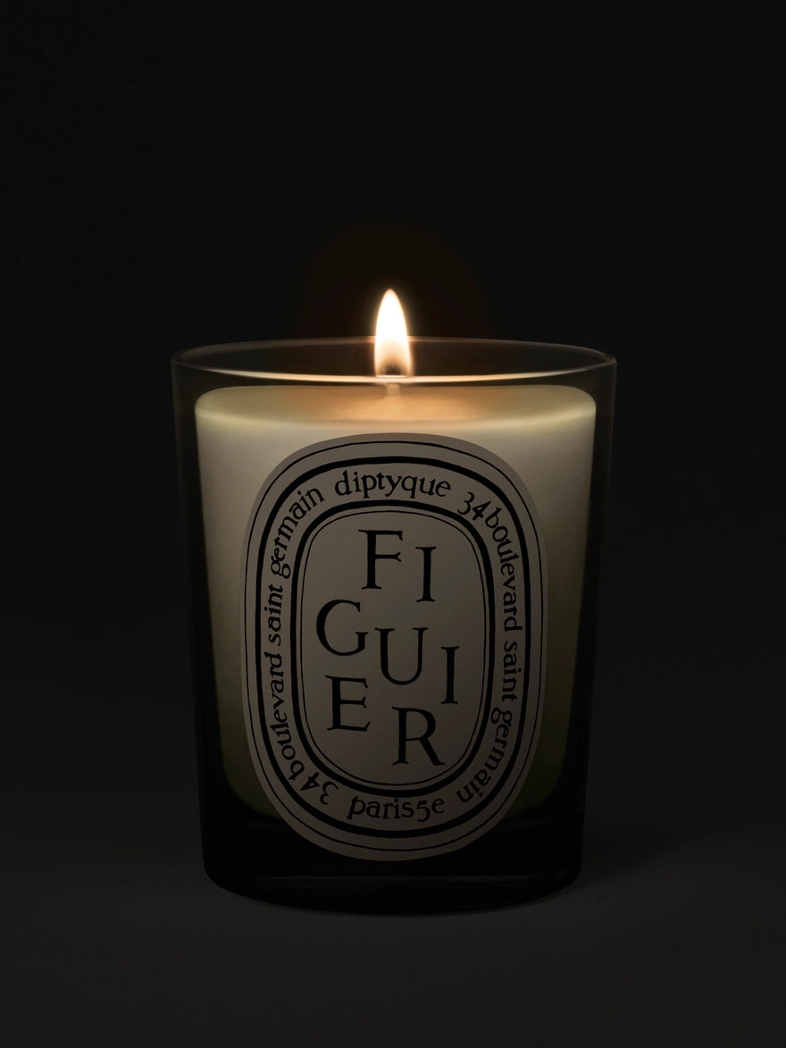 Diptyque Figuier Candle 70G & Matches Gift Set