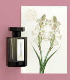 L’ARTISAN PARFUMEUR Premier Figuier სამოგზაურო სეტი ყავისფერი ტყავის ქეისით