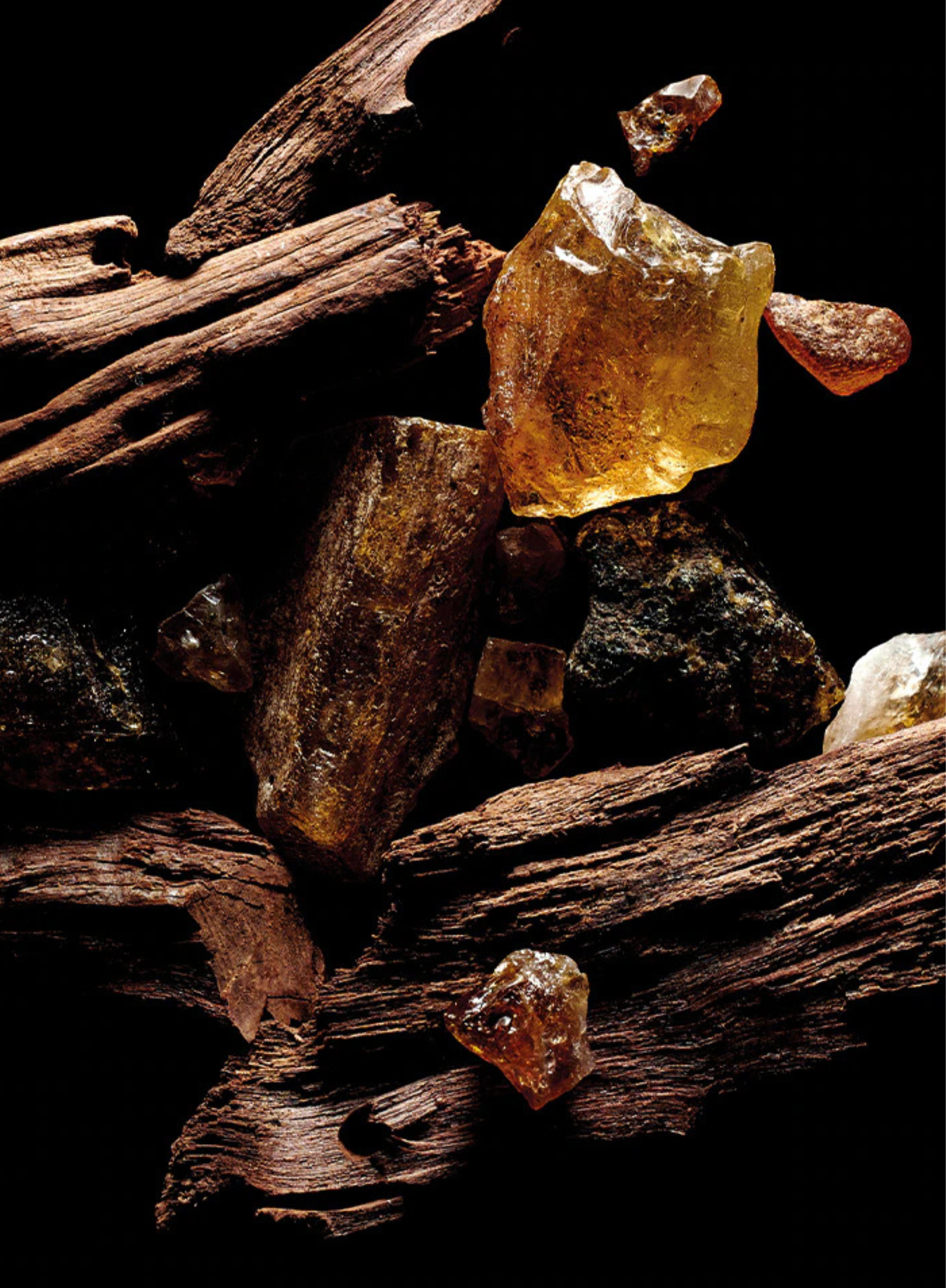 Raw Oud wood pieces and amber resin crystals on dark background, fragrance ingredients for Kilian Sacred Wood