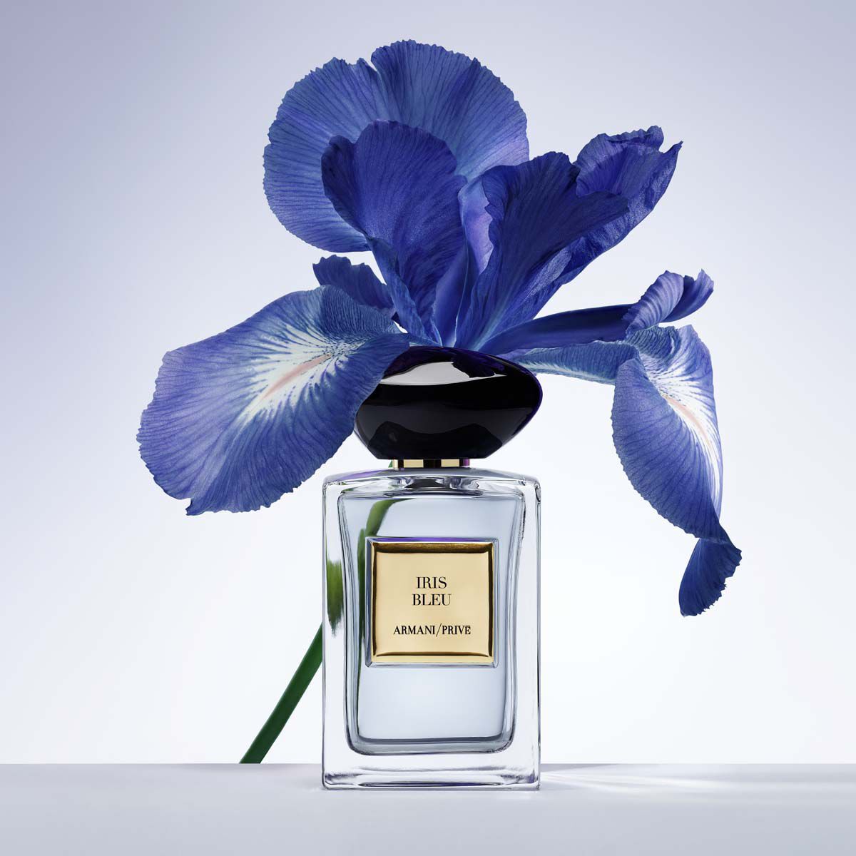 Armani/Privé Iris Bleu 50ml Limited Edition Gift Box | Exquisite