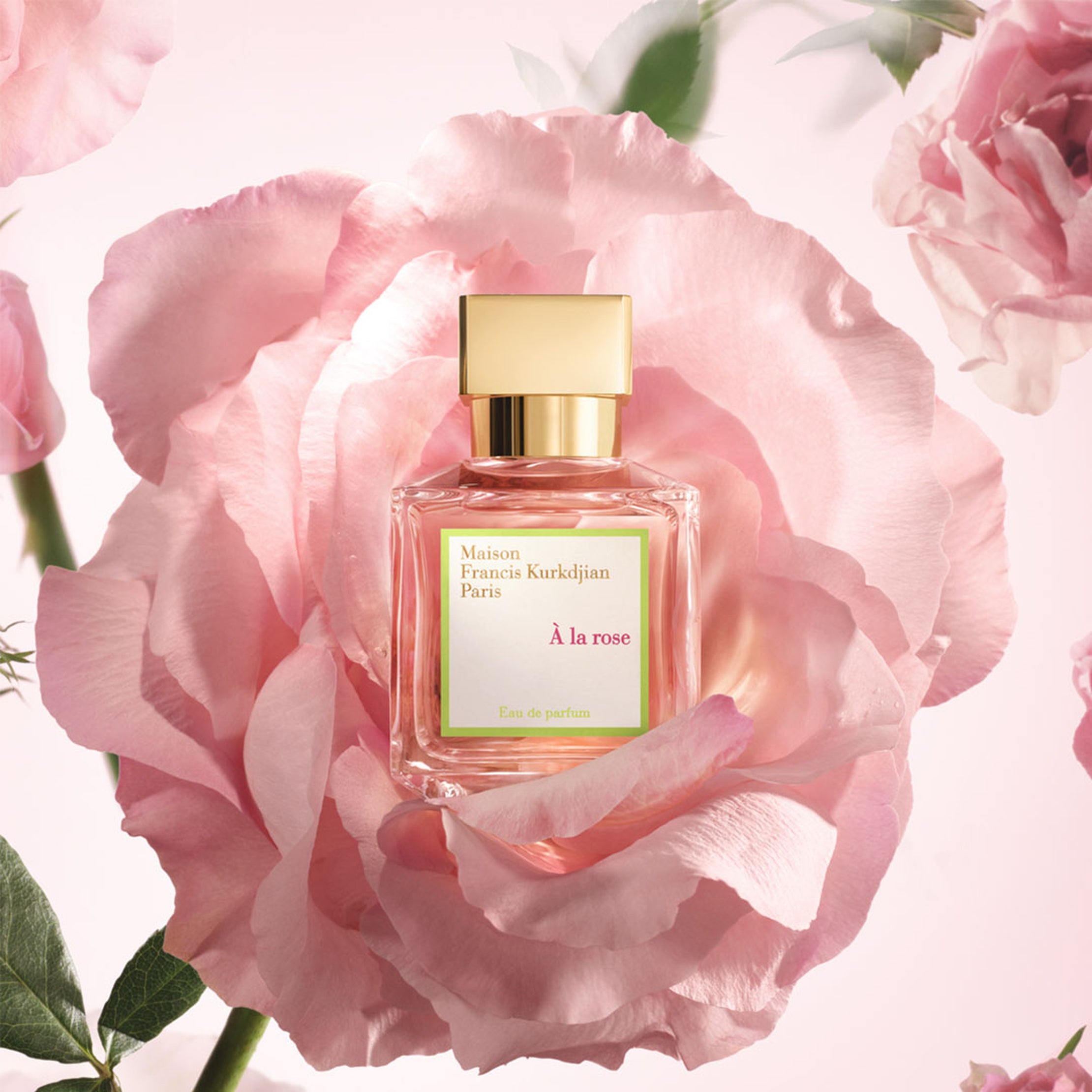 Maison Francis Kurkdjian À la rose Eau de Parfum bottle surrounded by pink rose petals, centered on soft floral background
