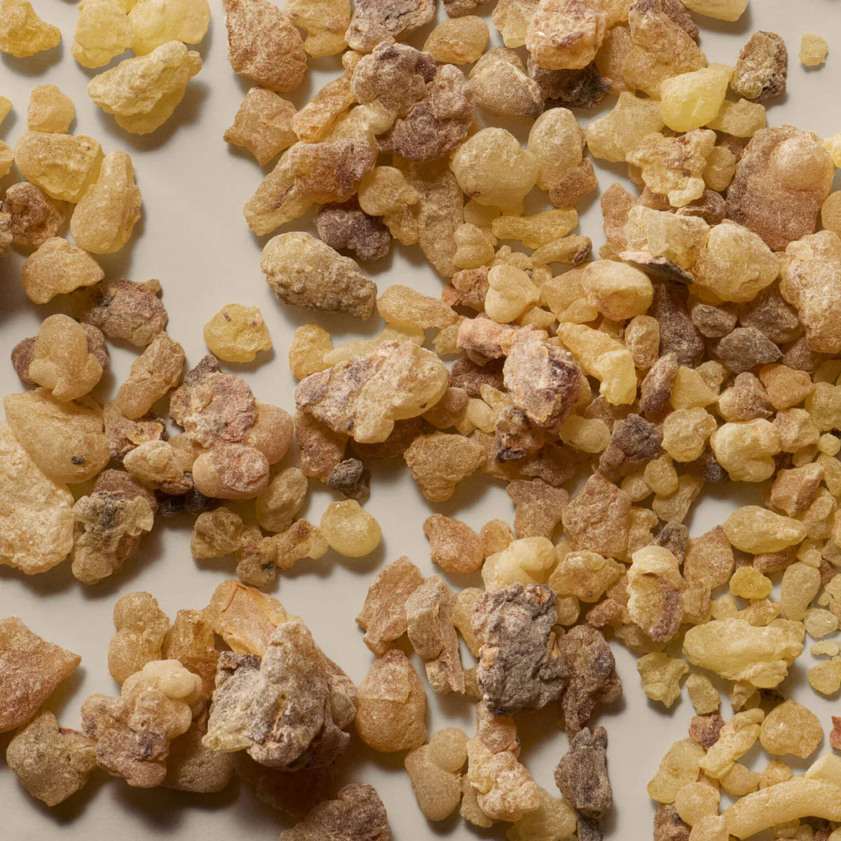 Aesop Limited Edition Travel Kits of 3