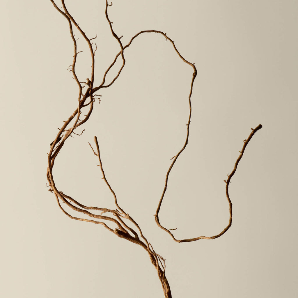 Aesop Tacit Eau de Parfum 50ML