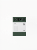 Authentic LOEWE Limited Edition Green Notebook 21x15cm in textured green finish with embossed logo detail — luxury collectible stationery available at Exquisite.