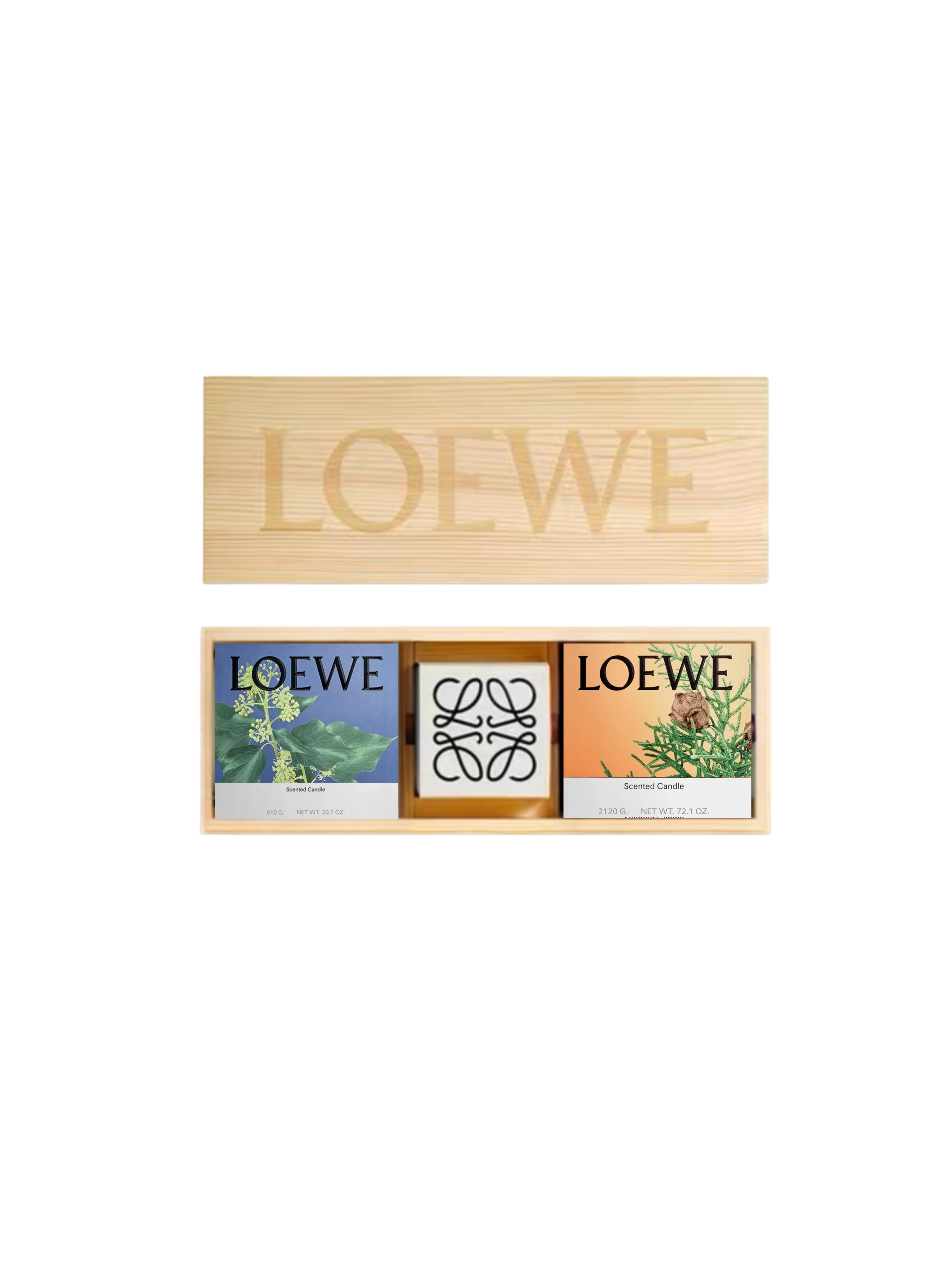 Loewe-ს სუროსა და კვიპაროსის ბურთულები სანთელი/ხის ყუთი/მინი ქოთანი თესლით