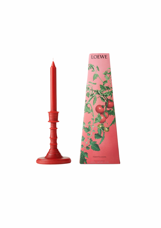 LOEWE Tomato Leaves Wax Scented Candleholder 330გ