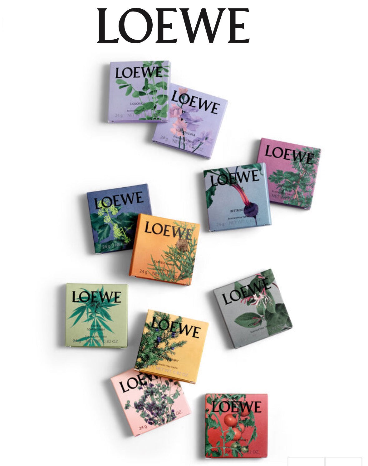 LOEWE Scented Wax Tablet Room Fragrance Set Of 11