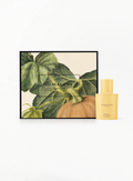 Jo Malone London Velvety Butternut Cologne 30ml bottle