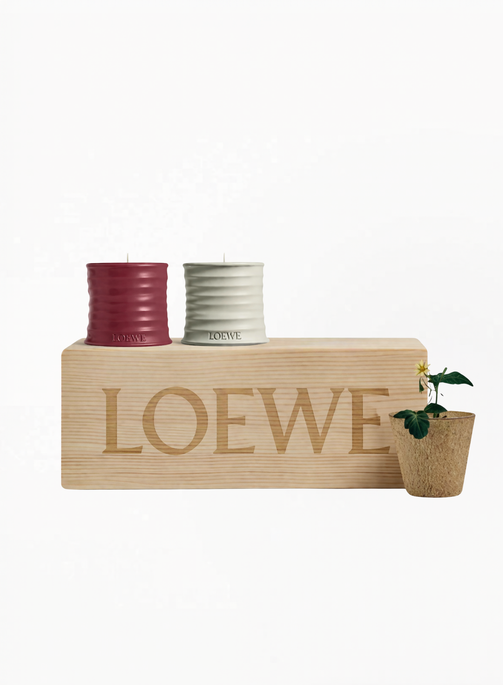 LOEWE Ultra Limited Garden Candle Set – Wooden Box Edition with botanical candles and collectible wooden presentation box, available at Exquisite.