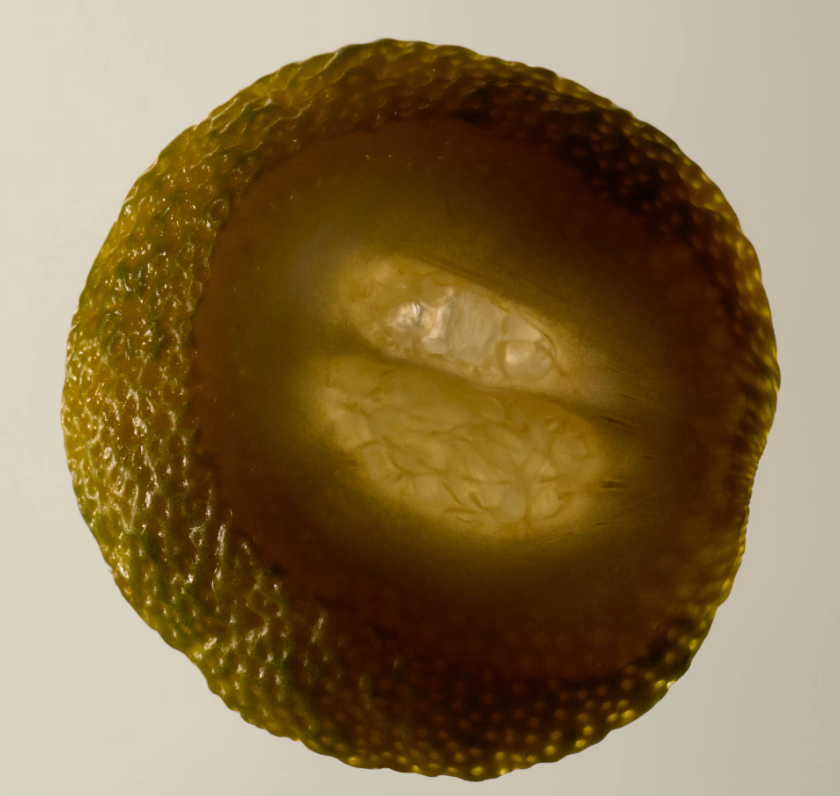 Aesop Tacit Eau de Parfum And Geranium Leaf Body Balm Set Duo