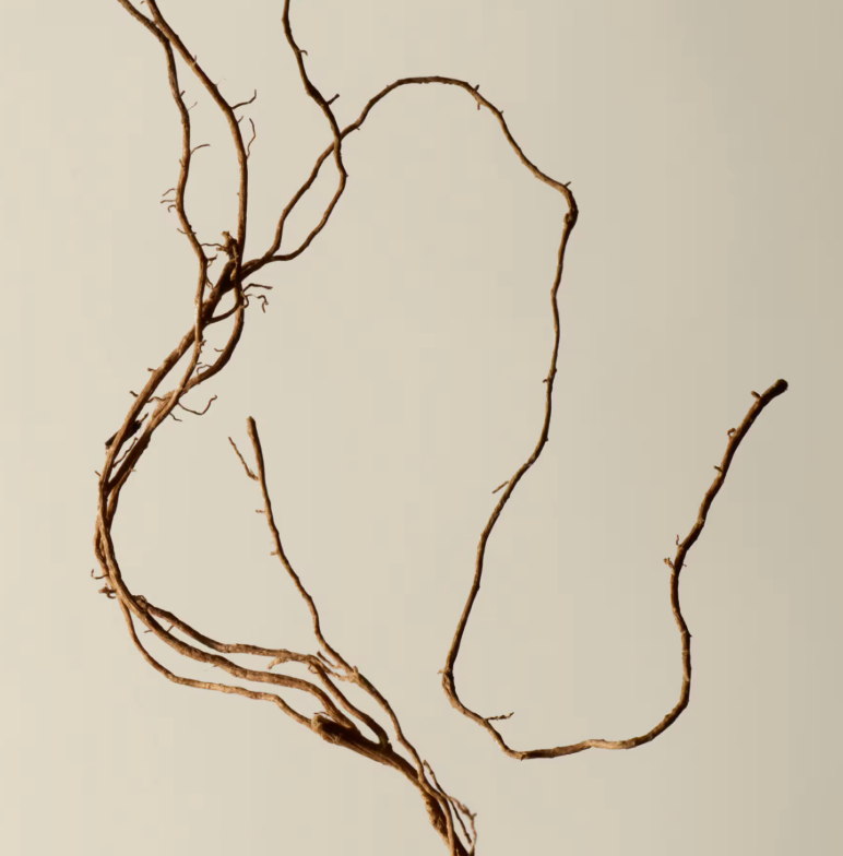 Aesop Tacit Eau de Parfum And Geranium Leaf Body Balm Set Duo