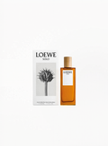 LOEWE Solo Eau de Toilette 50ml with refined signature fragrance packaging, available at Exquisite.