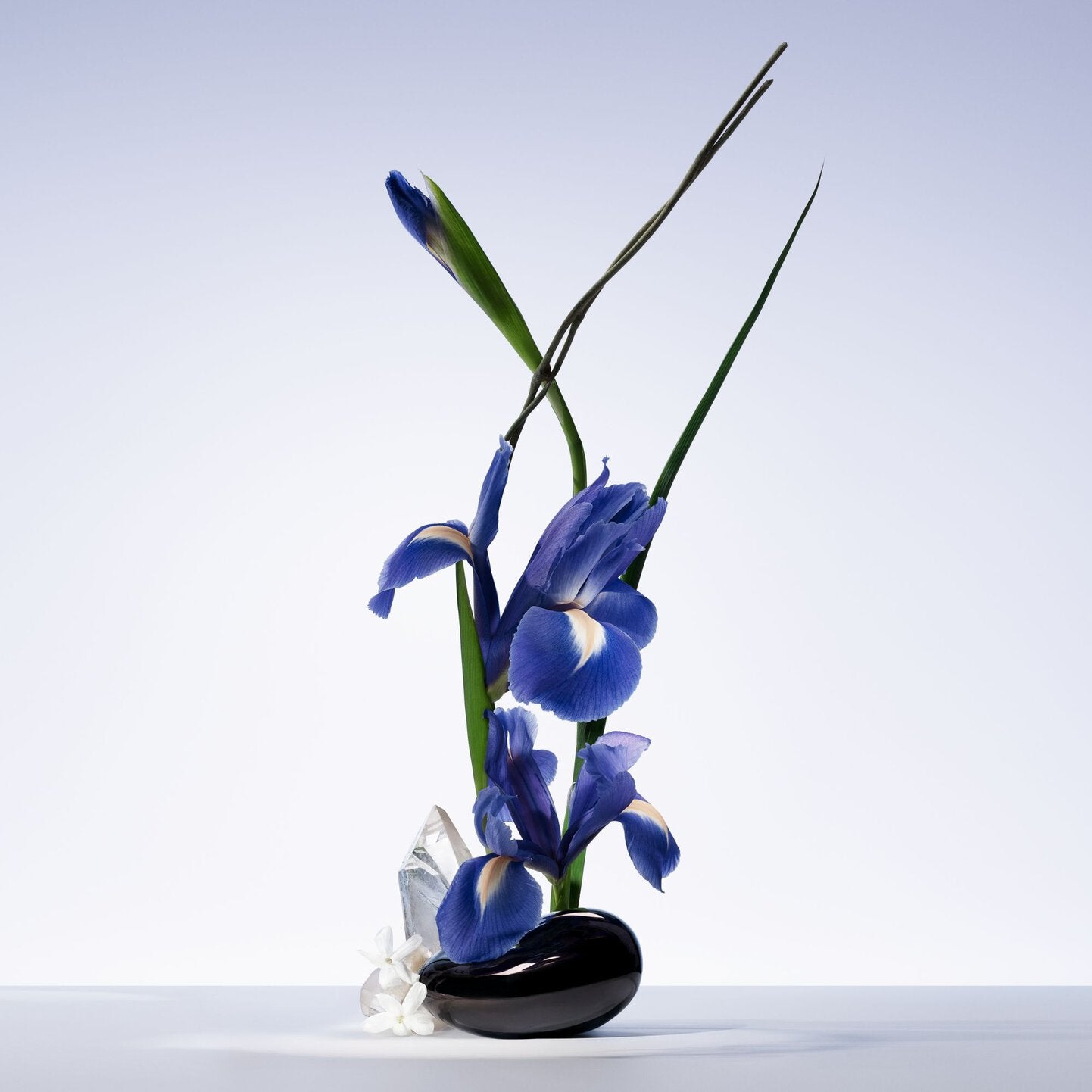 ARMANI/PRIVE IRIS BLEU 50ML Limited Edition Gift Box