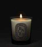 DIPTYQUE Baies სანთელი 70გ სასაჩუქრე ნაკრები & საშობა ორნამენტი და მანქანის საკიდი
