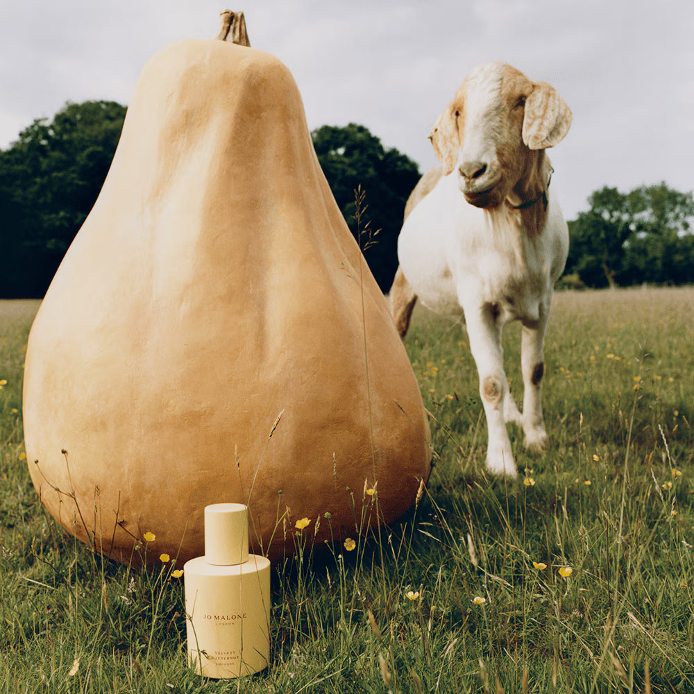 JO MALONE LONDON Velvety Butternut Cologne 30მლ