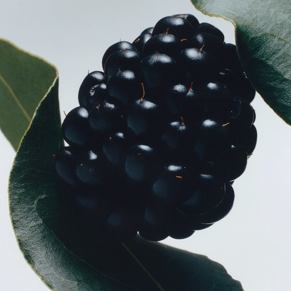 JO MALONE LONDON Blackberry & Bay სხეულის კრემი 50ML