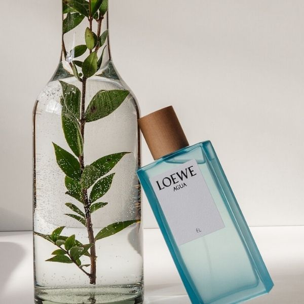 LOEWE შეზღუდული გამოცემის Discovery Set 4x15ML