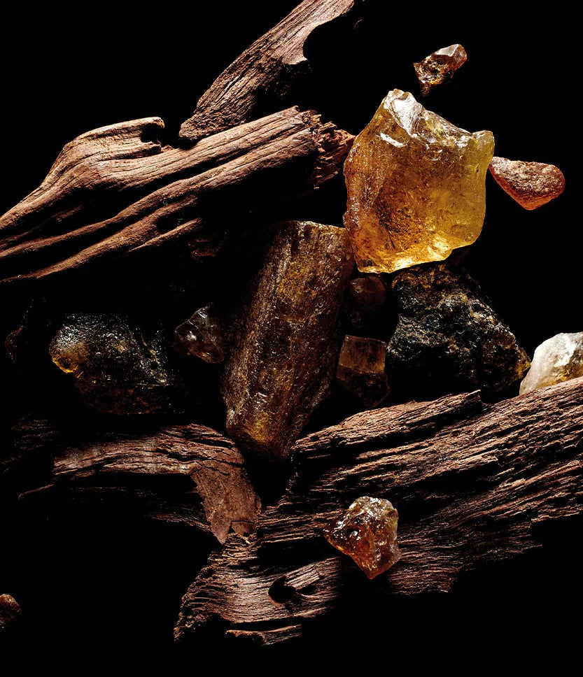 KILIAN Sacred Wood ხელის კრემი 50 მლ