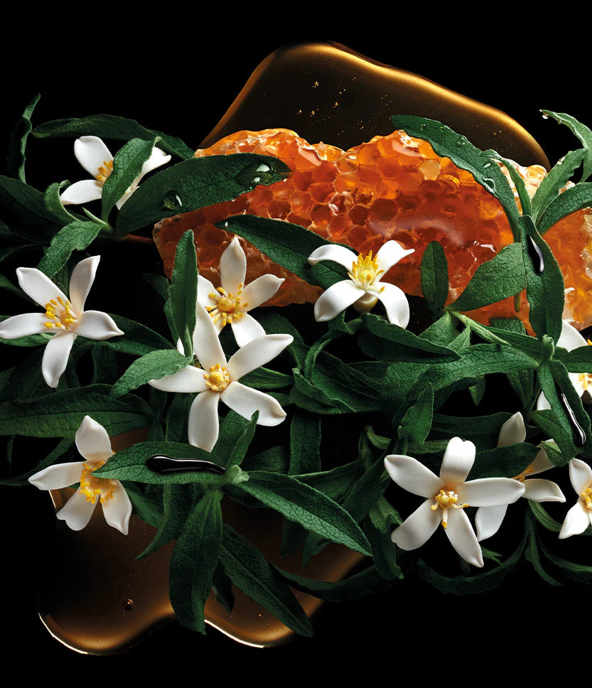 Close-up of honeycomb with white flowers on a dark background