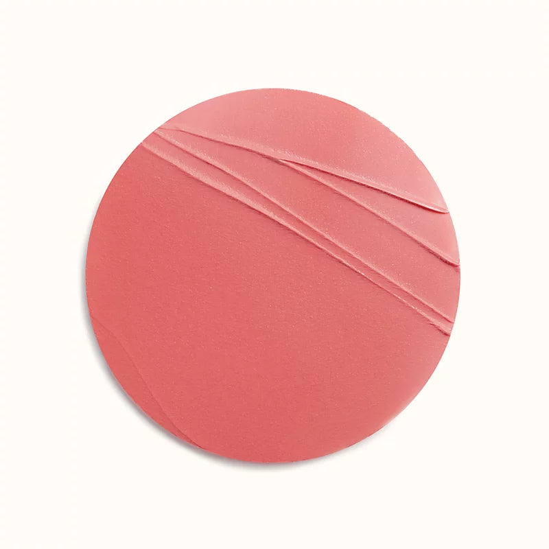 HERMÈS Rosy Lip Matte Enhancer, Rose Tan 49