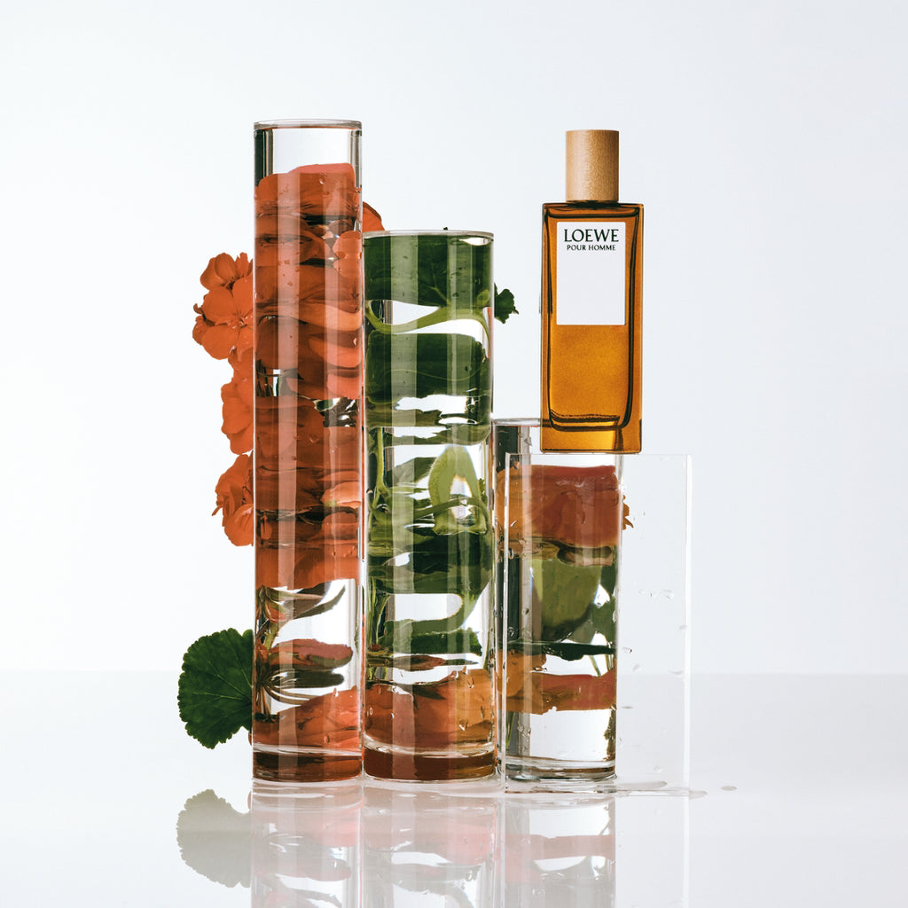 LOEWE შეზღუდული გამოშვების Discovery კომპლექტი 4x15 მლ მწვანე