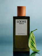 LOEWE Limited-edition Discovery Set 4x15ML Green